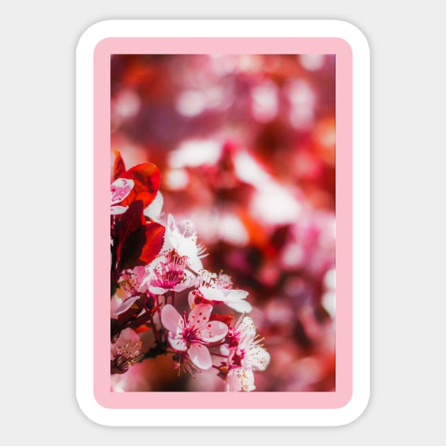 japanese flower tree rose Sticker by megadent